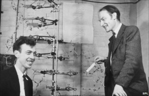 James Watson (left) was only 24 when together with Francis Crick ...