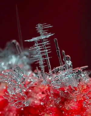 Remarkable Macro Photographs of Ice Structures and Snowflakes by ...