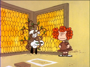 It's Arbor Day, Charlie Brown (1976 TV Movie)