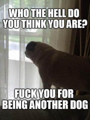 if_youve_ever_owned_a_dog_you_will_understand_this_perfectly_640_high ...