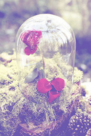 unusual fairy tale quotes fairy tale wedding ideas