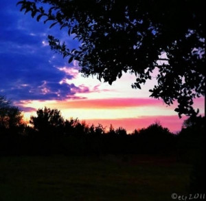 The sunset looks like the American flag!