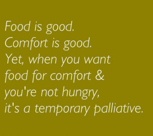 Food for comfort is a temporary palliative ~ Geneen Roth