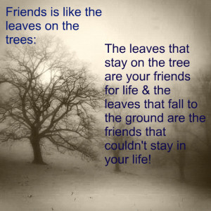 friends_are_like_the_leaves_on_the_trees-810.jpg?i