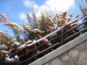 Mobile Tablet Print Wallpaper