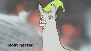 Boat Nectar - Llamas with Hats Picture