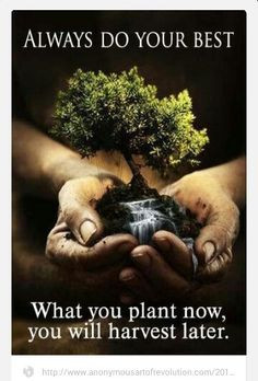 ... sows discord among brothers (Proverbs 6:16-19) If you teach your child