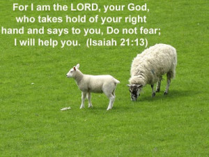 ... Hold Of Your Right Hand And Says To You, Do Not Fear - Bible Quote