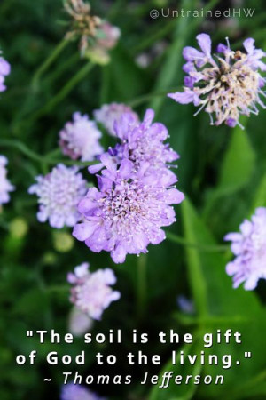 great gardening quotes