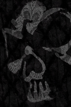 Dark Skull Digital Art Fine