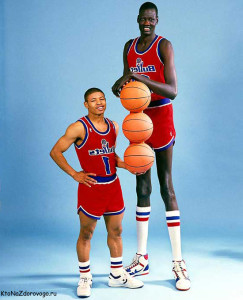 Funny Quotes Muggsy Bogues Manute Bol 600 X 743 134 Kb Jpeg