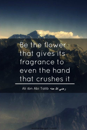 Flower, tolerance, forgiveness, islamic wisdom