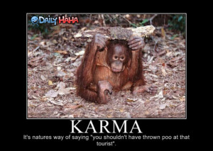 Monkeys_Karma_funny_picture