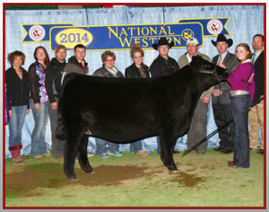 ... female-national-western-stock-show-jr-and-open-show-vickland-family[8