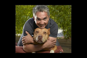 Cesar Millan Pictures Image