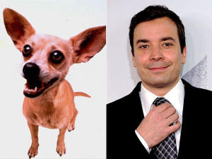 Jimmy Fallon Photo Colection