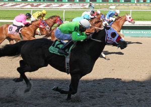 ... of quarter horse racing in the louisiana champions day quarter horse