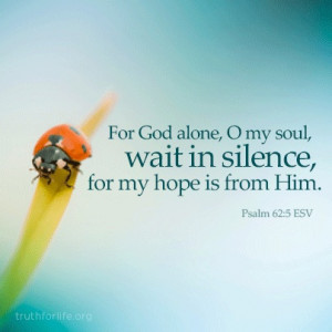 For God alone, O my soul, wait in silence, for my hope is from him ...