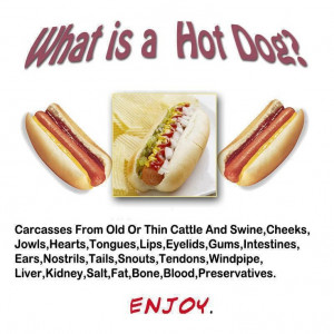 What is a Hot Dog? I don't think I can ever eat a hotdog again!!