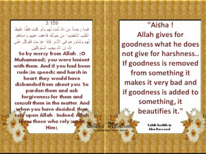 Aisha ! Allah gives for goodness what he does not give for harshness ...