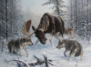 Wolf Pack Hunting Prey