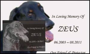 2014 © stoneengraving.com.au