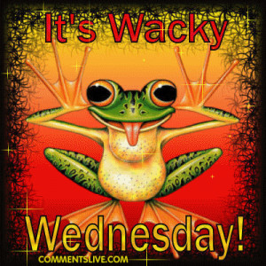 Who wants to post wacky Wednesday funny pics?