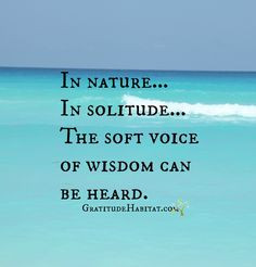 Solitude Quotes