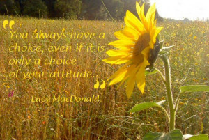 Sunflower Sayings And Quotes