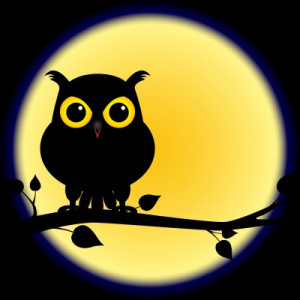 Night Owls, Sleep and Self-Acceptance