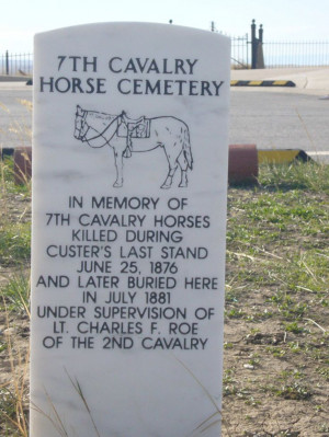 Little Big Horn: Horses Cemetery, Horns Battlefield, Bighorn ...