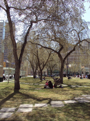 or sterling homes calgary alberta do a female actor age that sterling ...