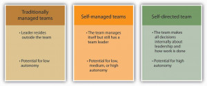 Team leadership is a major determinant of how autonomous a team can be ...