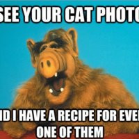 Alf Cat Meme