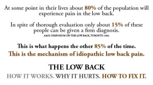 Low back pain relief - the mechanism of idiopathic low back pain