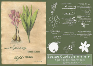 spring quotes spring quotes spring quotes spring quotes spring quotes