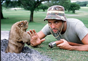 Carl's solution to rid the Bushwood golf course of gophers is to place ...