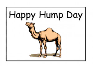 Hump day camel Images