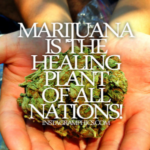 Marijuana Is The Healing Plant Quote Graphic
