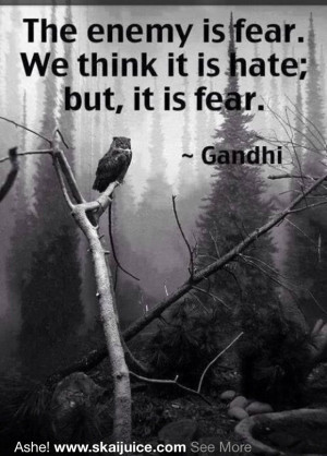 Fear causes immobility