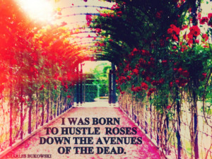 was born to hustle roses down the avenues of the dead.