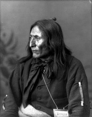 Description Chief Crowfoot.jpg