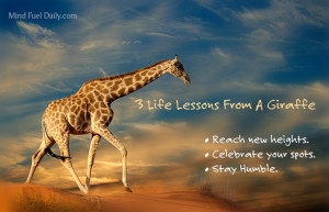 Life Lessons From A Giraffe