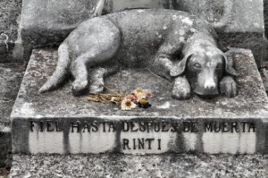 dogs in heaven by earl hammer jr the house dog s grave by robinson ...
