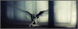 Fallen Angel Facebook Cover