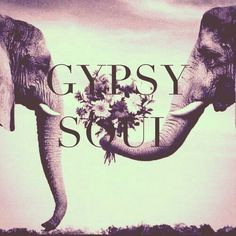 American Hippie Art Quotes ~ Indian Elephant .. Gypsy Soul