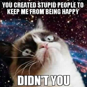 Grumpy CAt