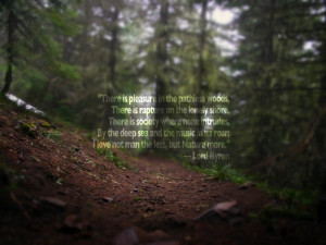 into the woods quotes image desktop into the woods quotes image ...
