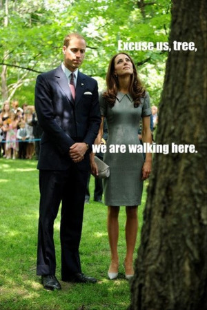 funny royal family pictures trees