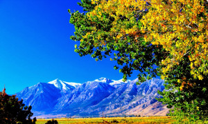 Serenity Nature From mother nature telling